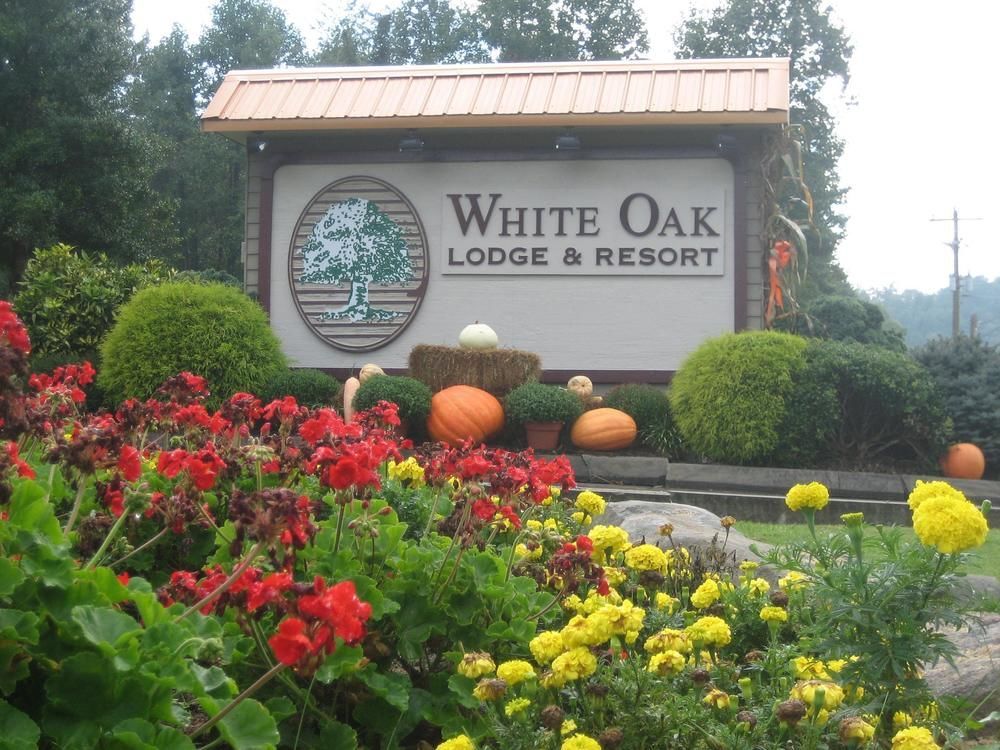 White Oak Lodge And Resort Pittman Center Dış mekan fotoğraf